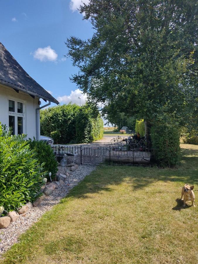 Bed and Breakfast Den Gamle Apotekergaard Hong Zewnętrze zdjęcie